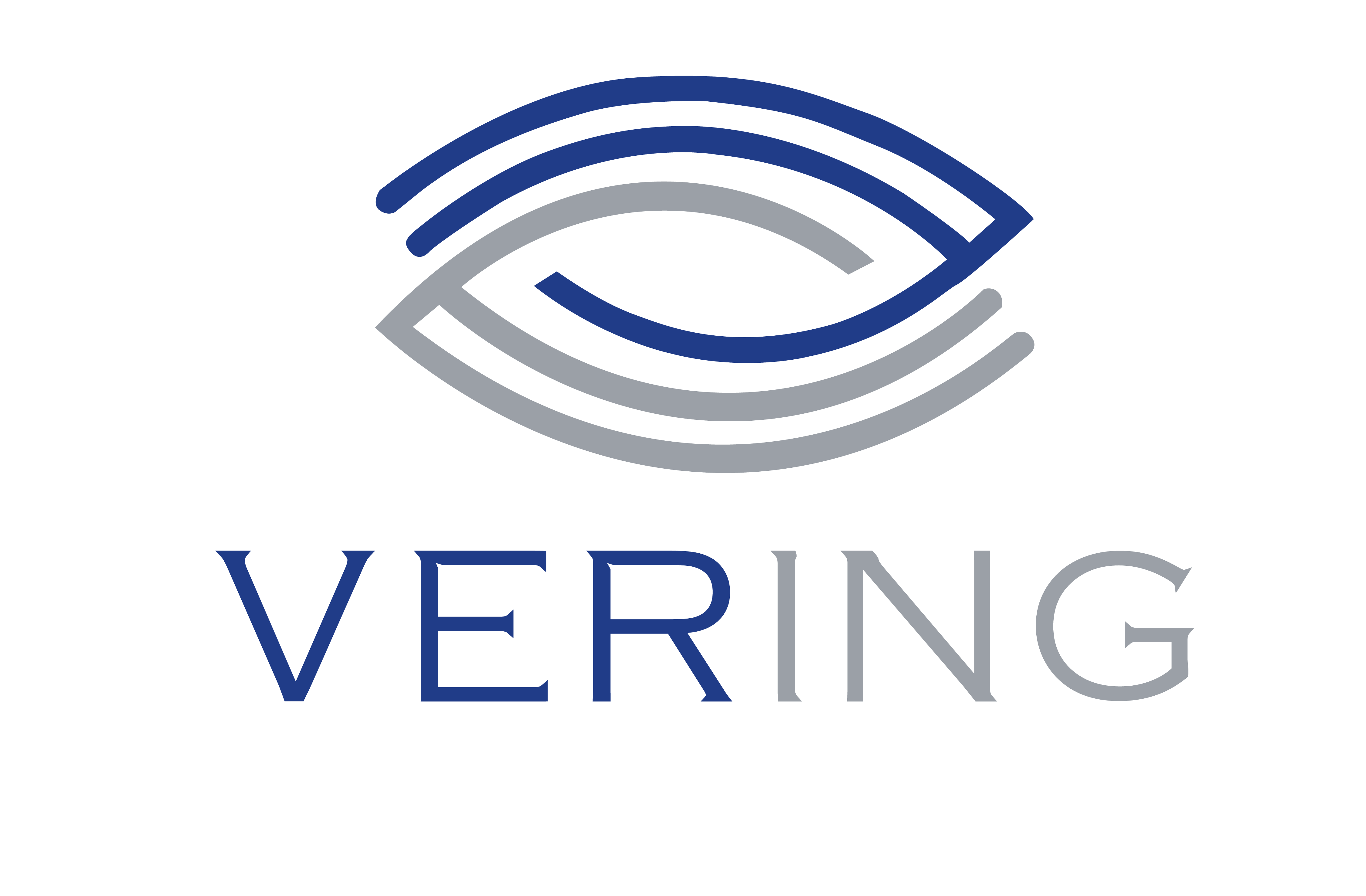 Vering Logo